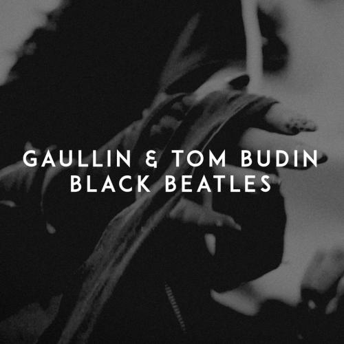 Black Beatles - Gaullin & Tom Budin