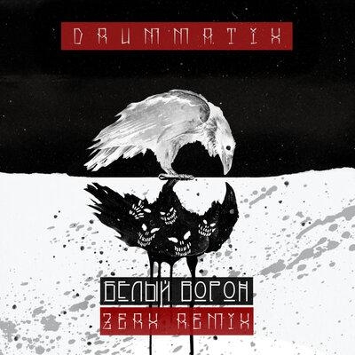 Белый Ворон (Zerx Remix) - Drummatix