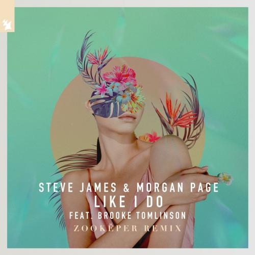 Like I Do (Zookëper Remix) - Steve James & Morgan Page feat. Brooke Tomlinson