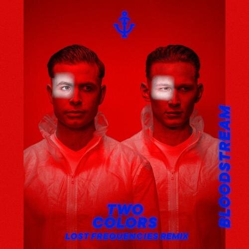 Bloodstream (Lost Frequencies Remix) - TwoColors