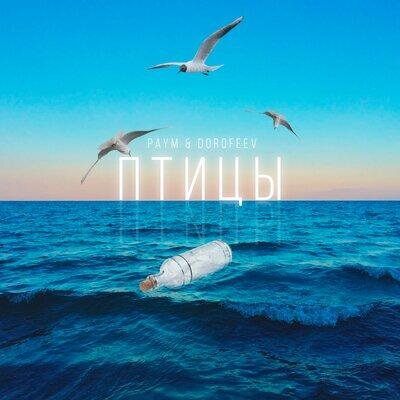 Птицы - Paym & Dorofeev