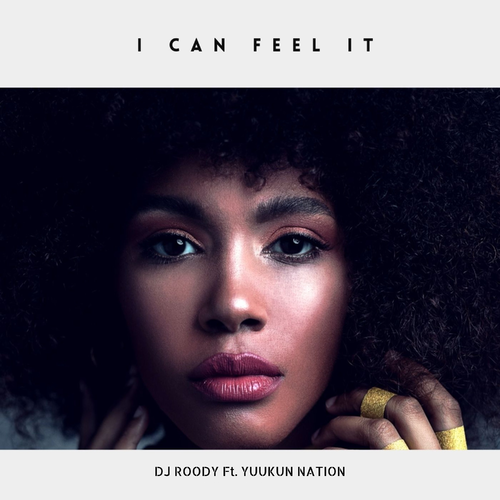 I Can Feel It - DJ Roody feat. Yuukun Nation