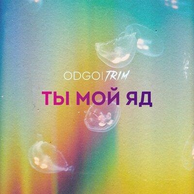 Ты мой яд - ODGO, Trim