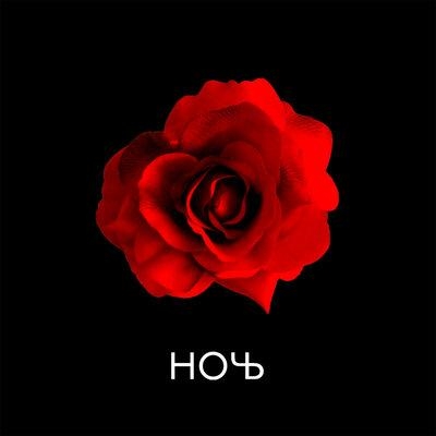 Роза - Ночь