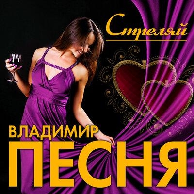 Стреляй - Владимир Песня
