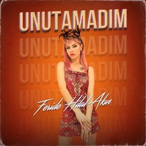 Unutamadım - Feride Hilal Akın