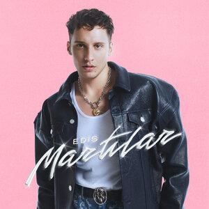 Martılar - Edis