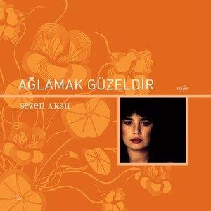 Biliyorsun - Sezen Aksu