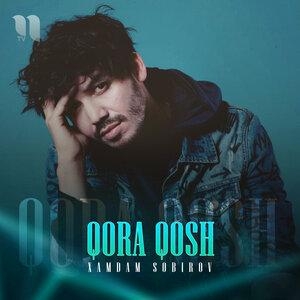 Qora Qosh - Хамдам Собиров