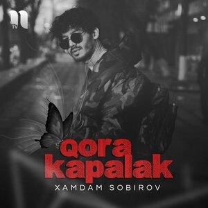 Qora Kapalak - Хамдам Собиров