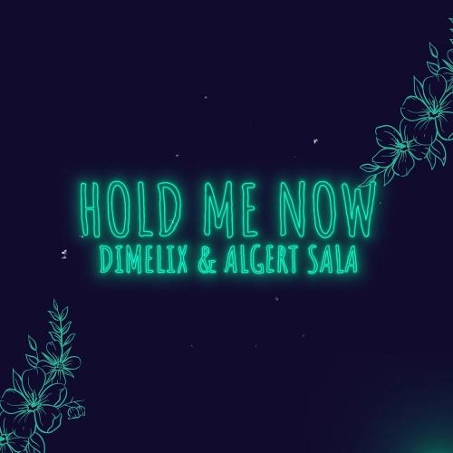 Hold Me Now - Dimelix & Algert Sala