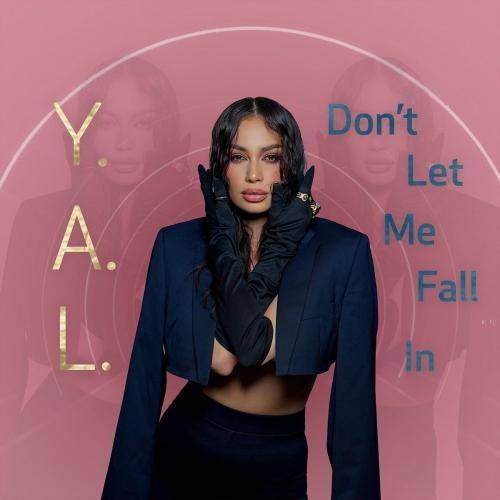 Dont Let Me Fall In - Y.A.L.